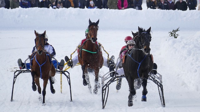 为什么孔帕尼和拜仁是天作之合？ 家族史铸就了他的坚韧不拔