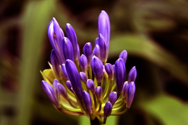 国安客场战平广州城