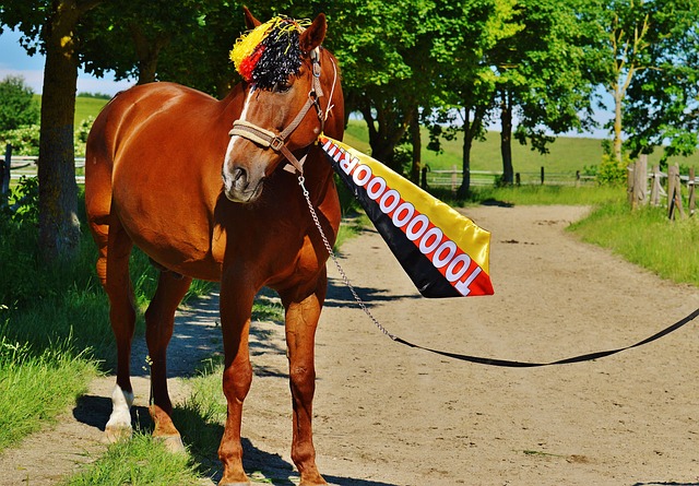 拉门斯：B费在我来曼联前就向我前队友打听我，说他会照顾我