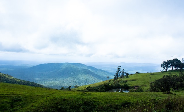库明加10中1！科尔：每个球员都会有起有落，赢球是最重要的