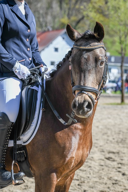 新门将新中锋？阿莫林：我们在努力提升球队，这也取决于市场