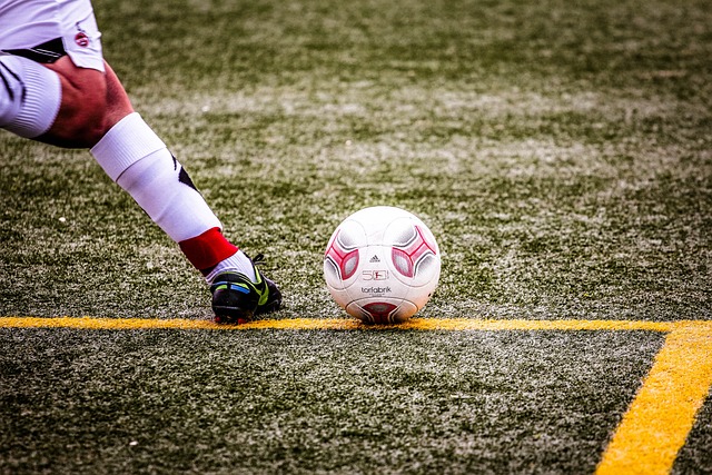 玩跨界，德尔-皮耶罗和马尔基西奥将为意语版疯狂动物城2配音