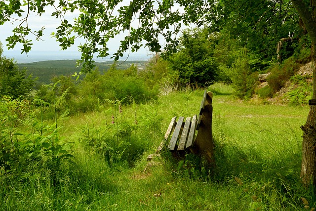 这后撤步跳投太无解